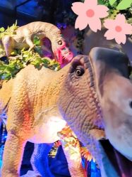 -恐龙探索乐园(磁器口店)