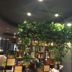 点击看大图 -藤野造型