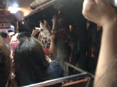 -清迈夜间动物园
