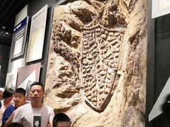 -沈阳“九·一八”历史博物馆