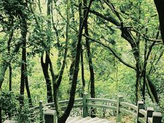 -广州市白云山风景名胜区