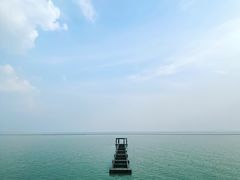 -贡湖湾湿地公园