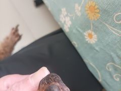 -乐宠动物医院