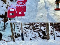 -洛阳白云山景区