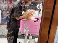 -FAELING PETS美天灵宠物(富力广场店)