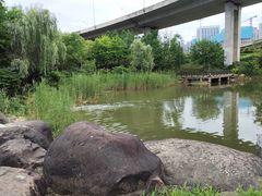 -洋湖国家湿地公园