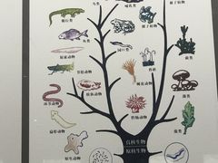 -贝壳王国博物馆