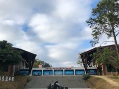-广东惠东海龟国家级自然保护区
