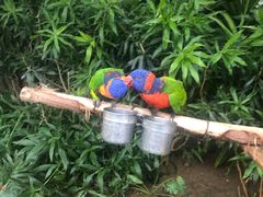 -南宫五洲植物乐园