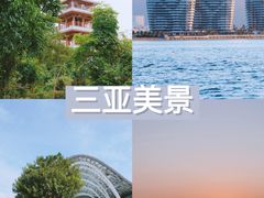 -亚龙湾热带天堂森林公园