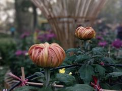 -共青国家森林公园-售票处