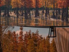 -白鹭湾湿地公园