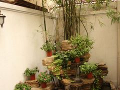老水井和假山-燕庭·纯燕窝·甜品下午茶(南京西路店)
