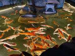 -重庆欢乐海底世界