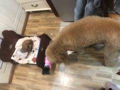 -喵汪宠物生活馆(涞坊路店)