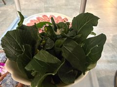 -喜聚薈·花膠雞海鮮火鍋(越秀店)