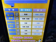 -多彩贵州城极地海洋世界