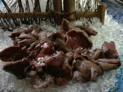 -探窝·竹笙椰子鸡(杨箕店)