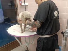 -FAELING PETS美天灵宠物(富力广场店)