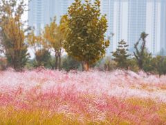 -汉长安城未央宫国家考古遗址公园