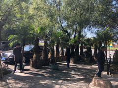 -大鹅岛绿色生态美食园