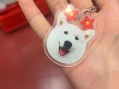 -和它·交个朋友·狗咖猫咖(爱琴海店)