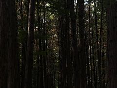 -汉水公园