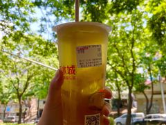 四季春茶-蜜雪冰城(梅花园佳润广场店)