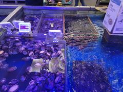 -盒马鲜生(大成店)