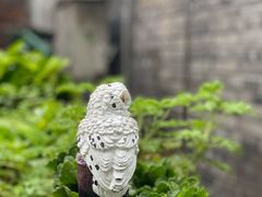 -BE YOLO必有乐&小红帽三明治
