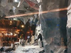 -帝企鹅自助餐厅•儿童岛•真企鹅(长隆企鹅酒店)