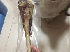 -藦茜花园宠物主题亲子互动体验馆(国顺东路店)