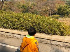 -东湖磨山景区