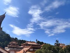 -深圳仙湖植物园