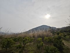 -五凤溪古镇