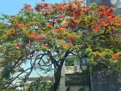 -人民公园(罗湖区)