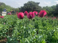 -国家植物园南园