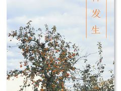 -北寺塔