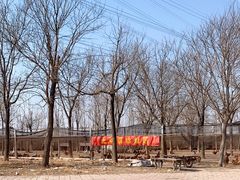 -甜心庄园·甜心草莓采摘园(西青中北店)