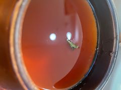 -云海肴·汽锅鸡·云南代表菜(五道口购物中心店)