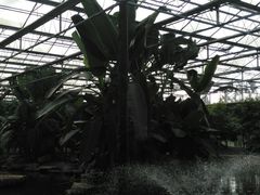 -南通洲际绿博园