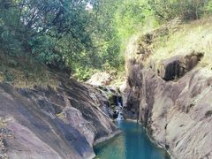 -广州白江湖森林公园