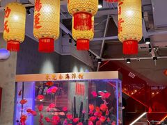 -朱光玉火锅馆(正弘城店)