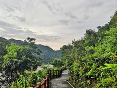 -羚羊峡古栈道森林公园