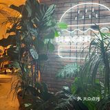 汉堡届的天花板？｜bueger bar