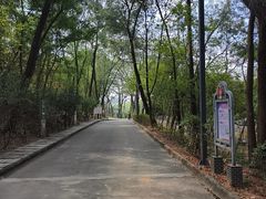 -榴花公园