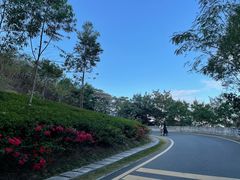 -小南山公园