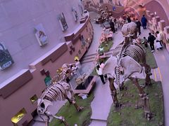 -陕西自然博物馆