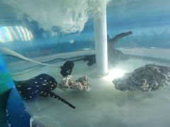 -泉州海丝野生动物世界