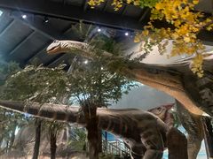 -湖南省地质博物馆